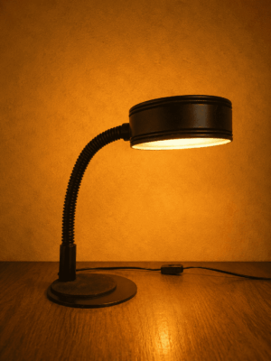 Vintage zwarte bureaulamp met flexibele hals